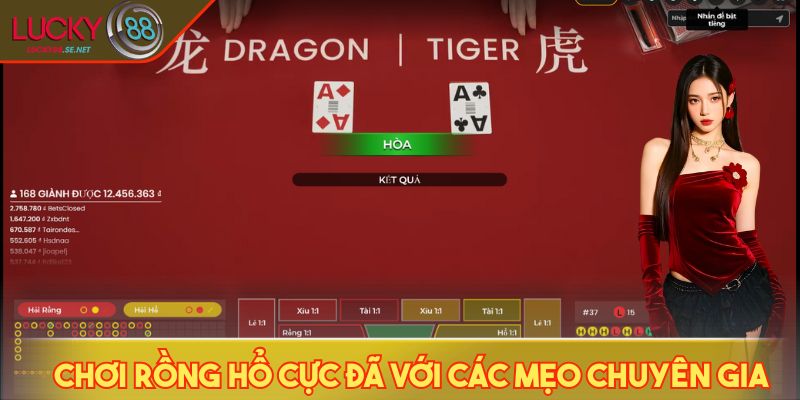Rồng Hổ LUCKY88 - Chiến Lược Dồn Kèo Giúp Tăng Lợi Nhuận 4 Chơi Rồng Hổ cực đã với các mẹo chuyên gia