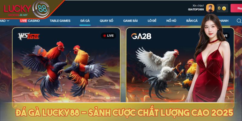 Đá gà LUCKY88 - Sảnh cược chất lượng cao 2025