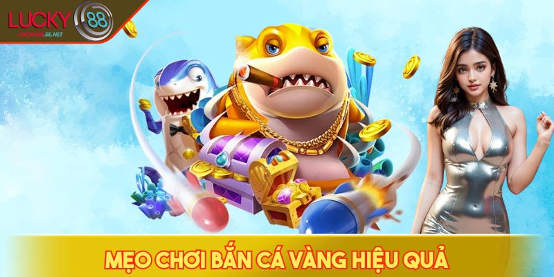 Mẹo chơi bắn cá vàng hiệu quả