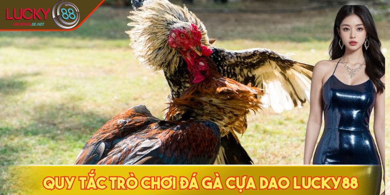 Đá Gà Cựa Dao LUCKY88: Hướng Dẫn Chọn Kèo Chuẩn Cho Hội Viên 3 Quy tắc trò chơi đá gà cựa dao LUCKY88