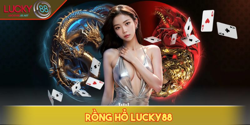 Rồng Hổ LUCKY88 - Chiến Lược Dồn Kèo Giúp Tăng Lợi Nhuận 1 Rồng Hổ LUCKY88