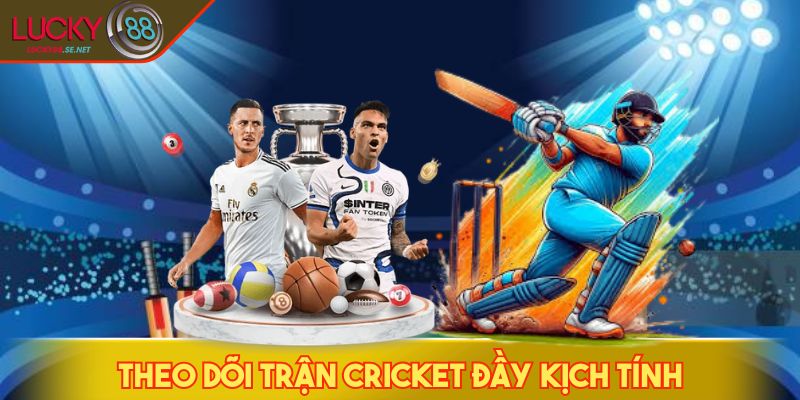 Theo dõi trận Cricket đầy kịch tính