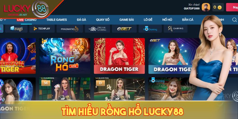 Rồng Hổ LUCKY88 - Chiến Lược Dồn Kèo Giúp Tăng Lợi Nhuận 2 Tìm hiểu Rồng Hổ LUCKY88