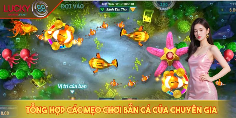 Mẹo Chơi Bắn Cá - Săn Boss Cực Nhanh, Trúng Thưởng Cực Lớn 3 Tổng hợp các mẹo chơi bắn cá của chuyên gia