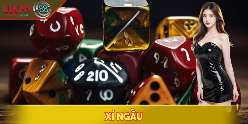 Xí Ngầu - Tựa Game Hấp Dẫn, Lắc Là Có Cơ Hội Thắng Lớn 1 Xí ngầu